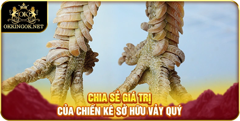 Chia sẻ giá trị của chiến kê sở hữu vảy quý